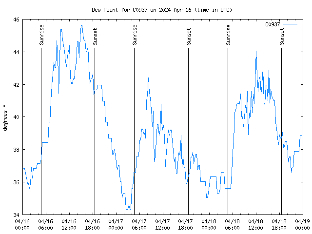 Latest daily graph