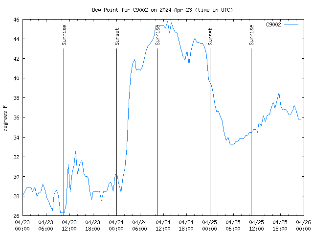 Latest daily graph